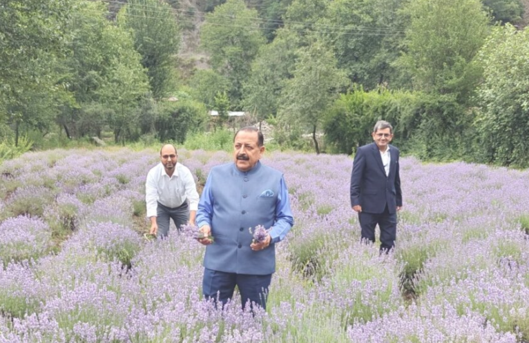 Fourth Lavender Festival 