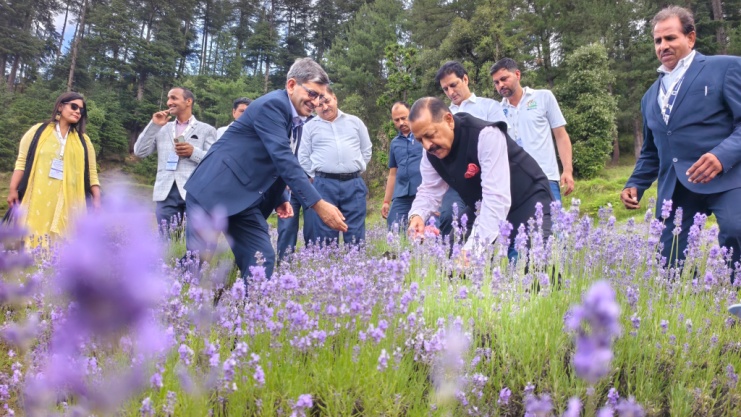 Lavender Field Visit 1