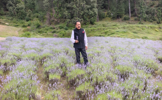 Lavender Field Visit 4