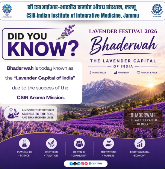 Lavender Capital of India