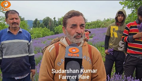 Lavender Festival Instagram Reel