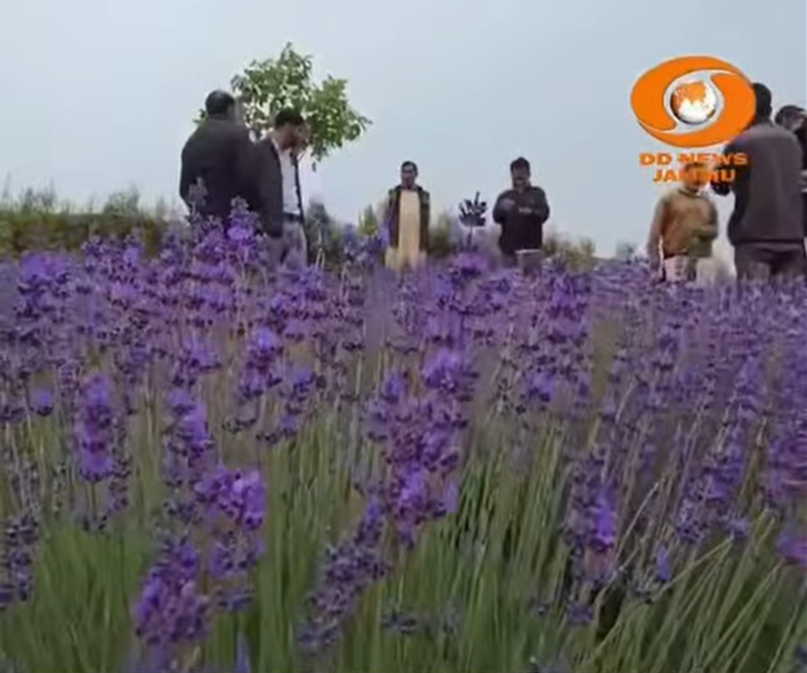 Remarkable transformation unfolding in the hills of Bhaderwah
