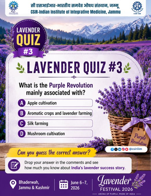 Lavender Quiz Part 3