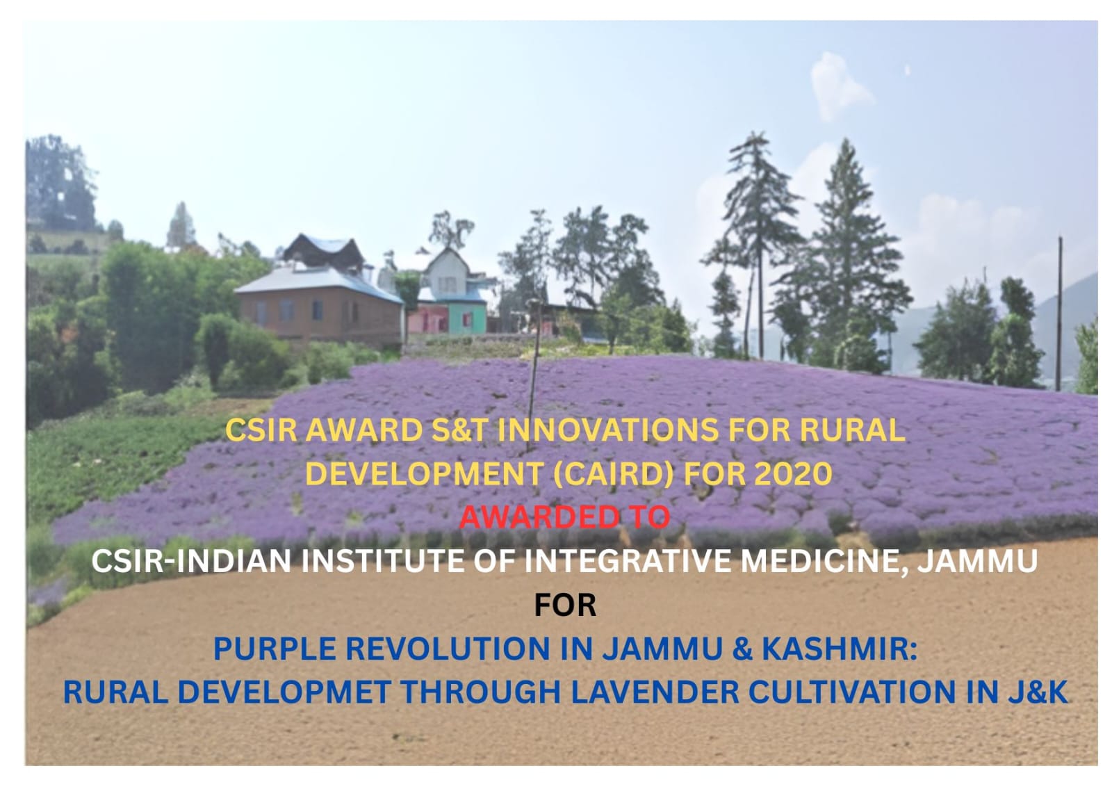 CSIR Award (CAIRD-2020)