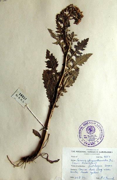 Official Record