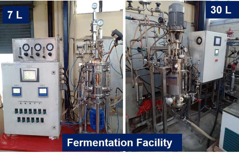 Fermentation Technology Division - Fermentation 