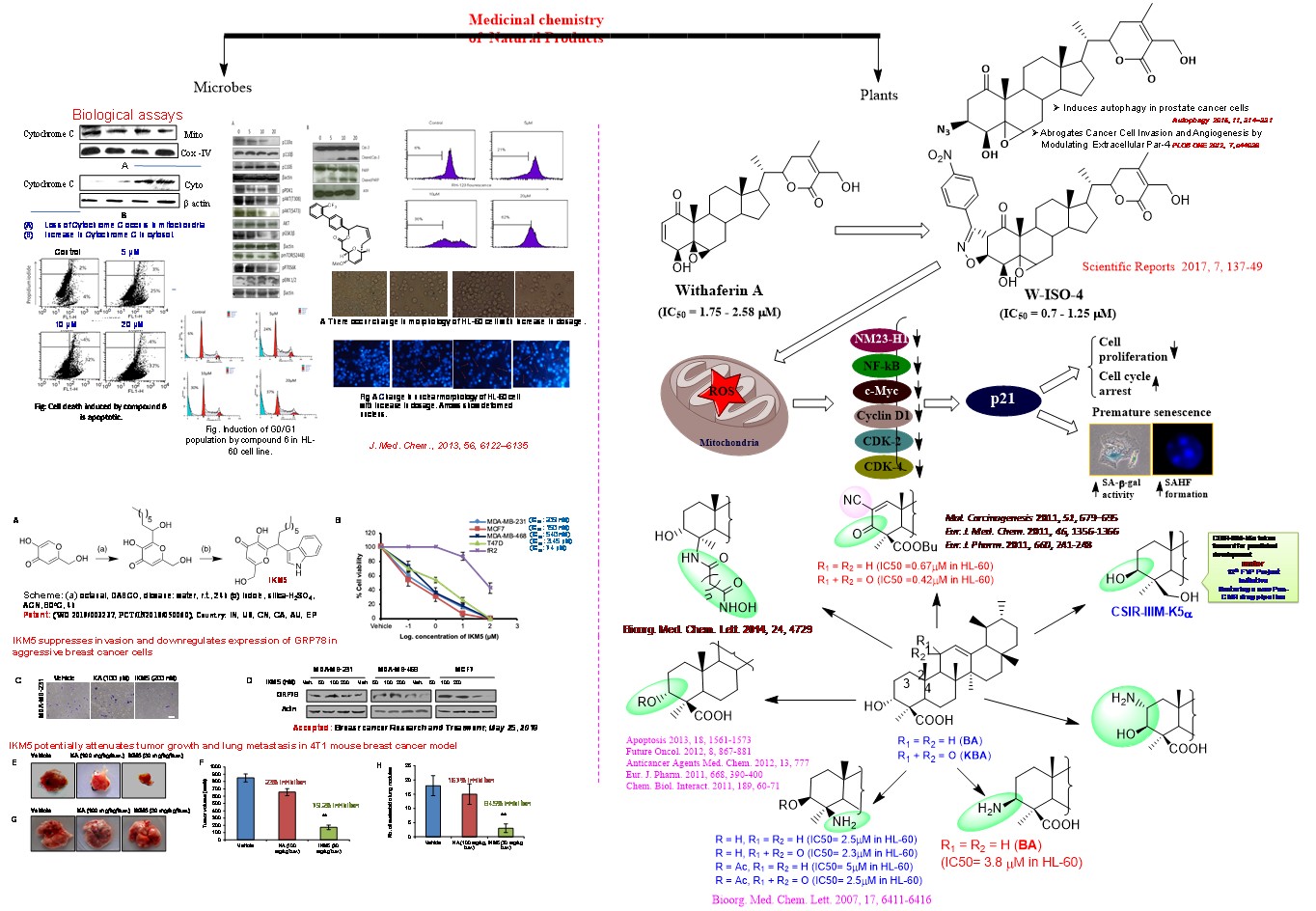 Natural Products Chemistry (Plants) CSIRIndian Institute of